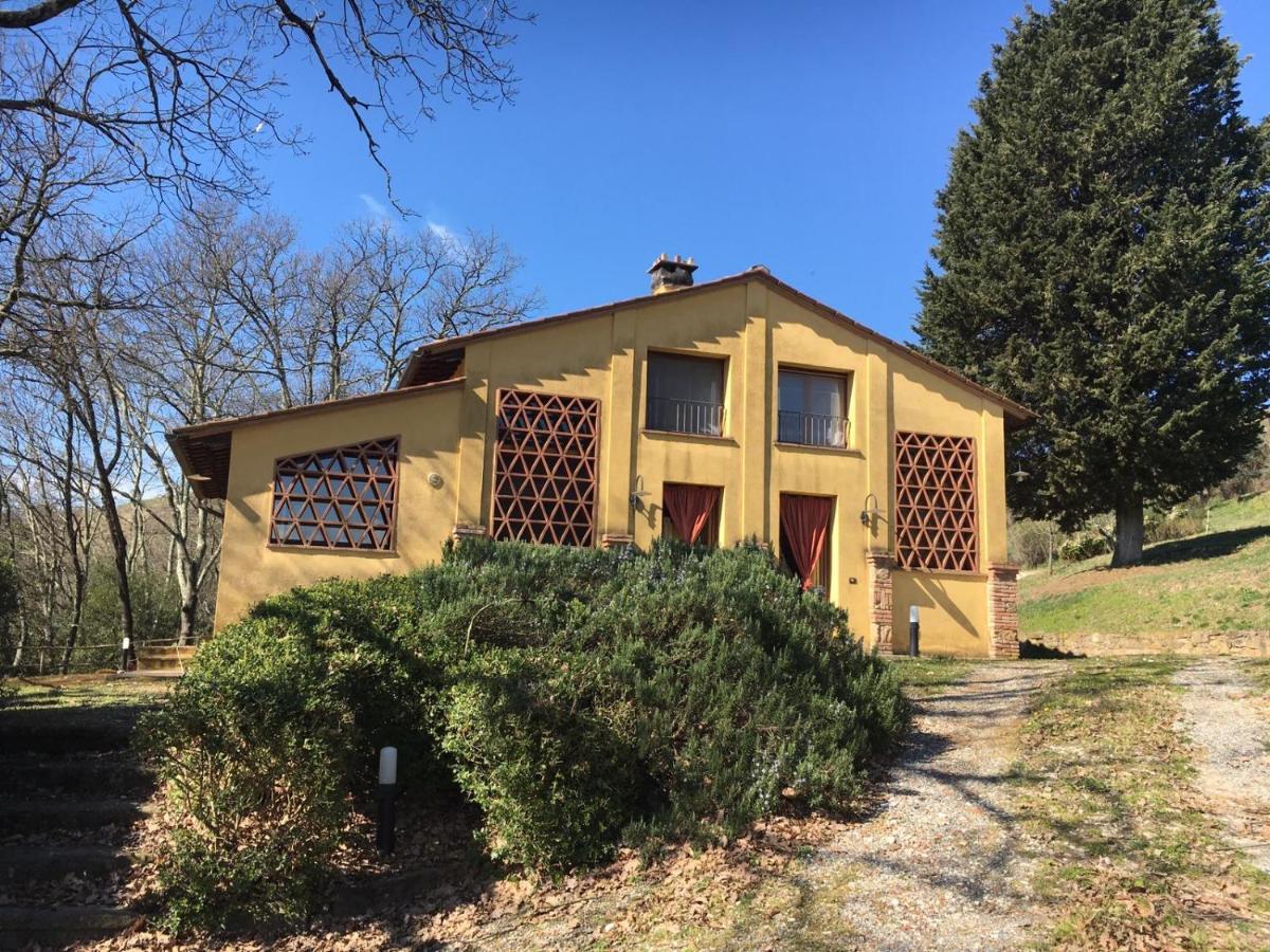 Viva House Villa Монтайоне Екстериор снимка