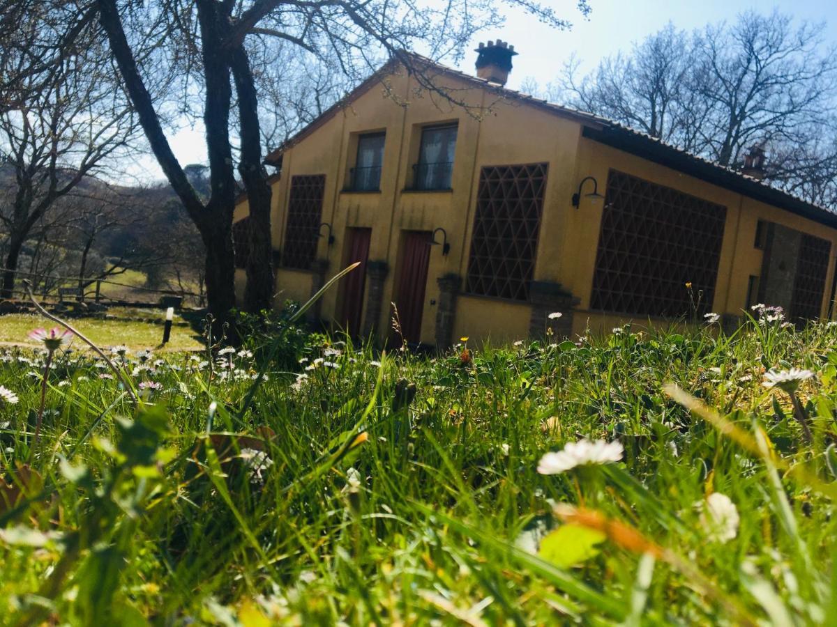 Viva House Villa Монтайоне Екстериор снимка