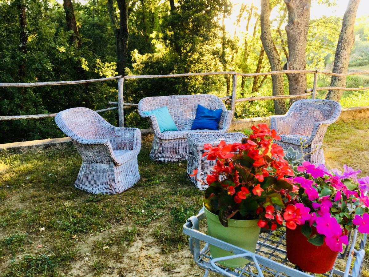 Viva House Villa Монтайоне Екстериор снимка